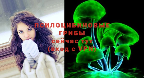скорость Алексин