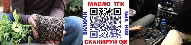 Купить где  Котово  ТГК гашишное масло 
